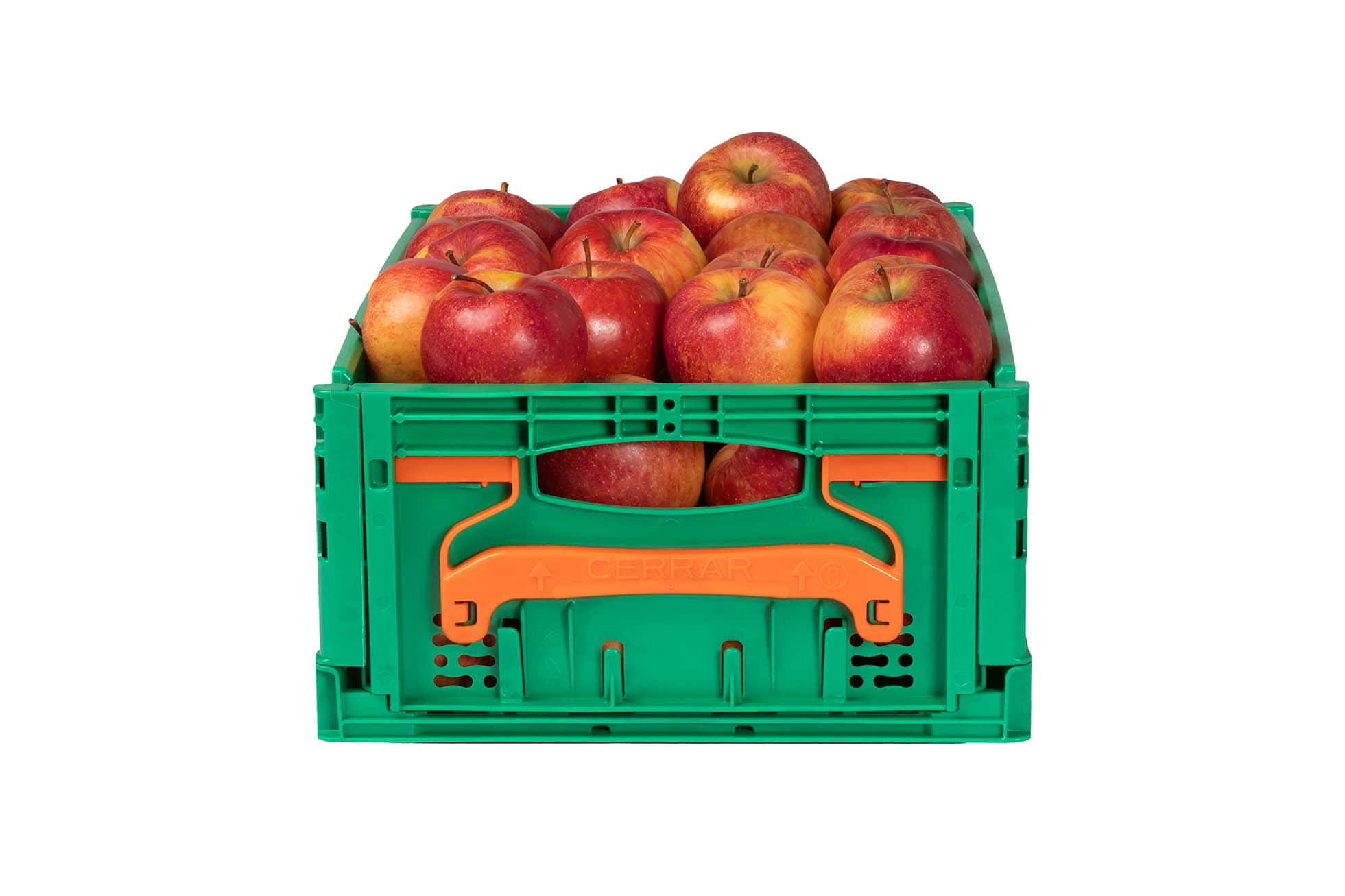 Fotografía ecommerce – Logifruit (2)